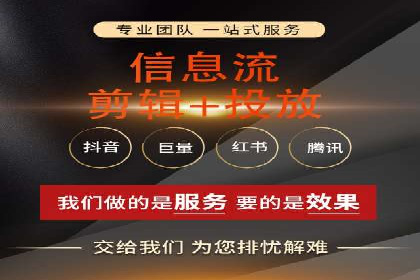SEM公司案例研究：数据驱动营销策略